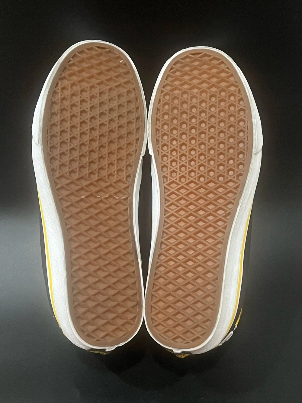 Vans X National Geographic High Top Shoes Mens US Sz 11.5